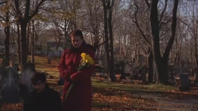 Flowers for David
