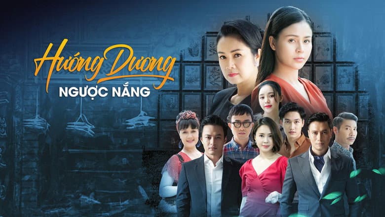 Hướng dương ngược nắng