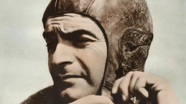 Rondini in volo