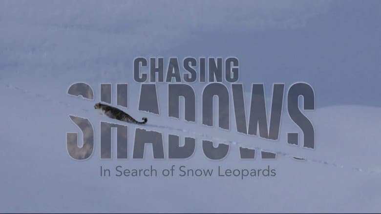 Chasing Shadows