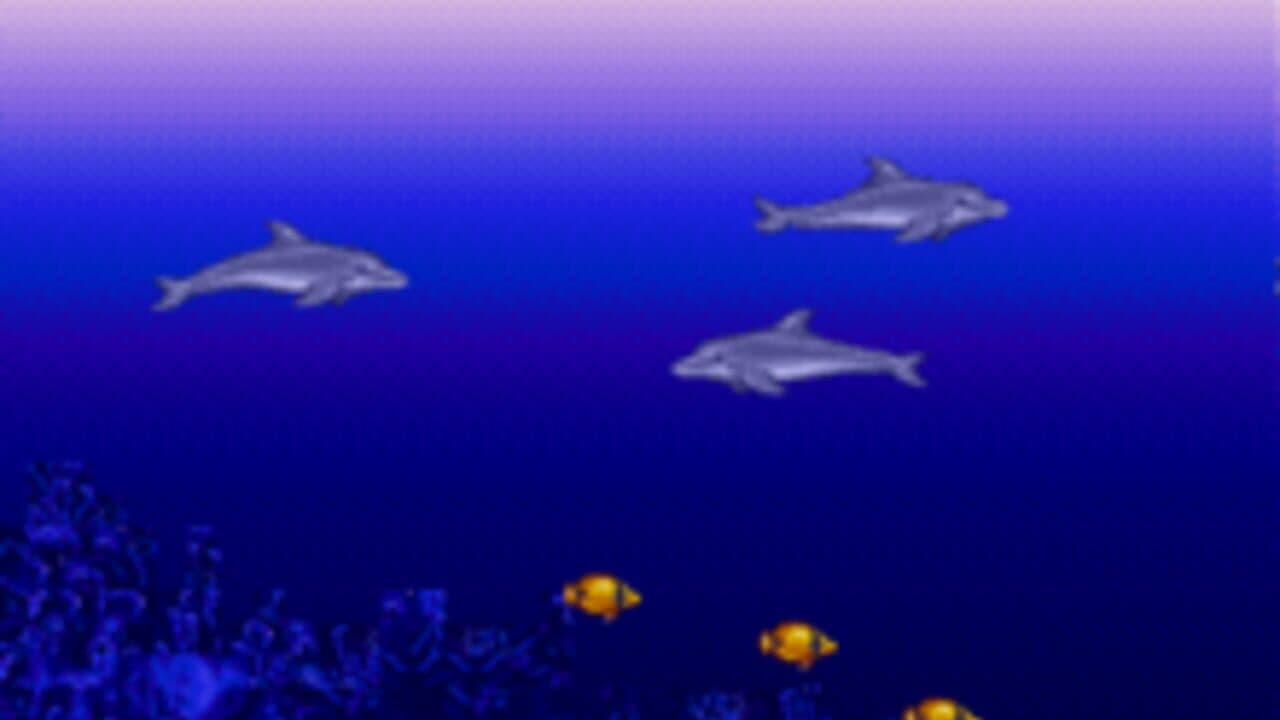 Ecco the Dolphin
