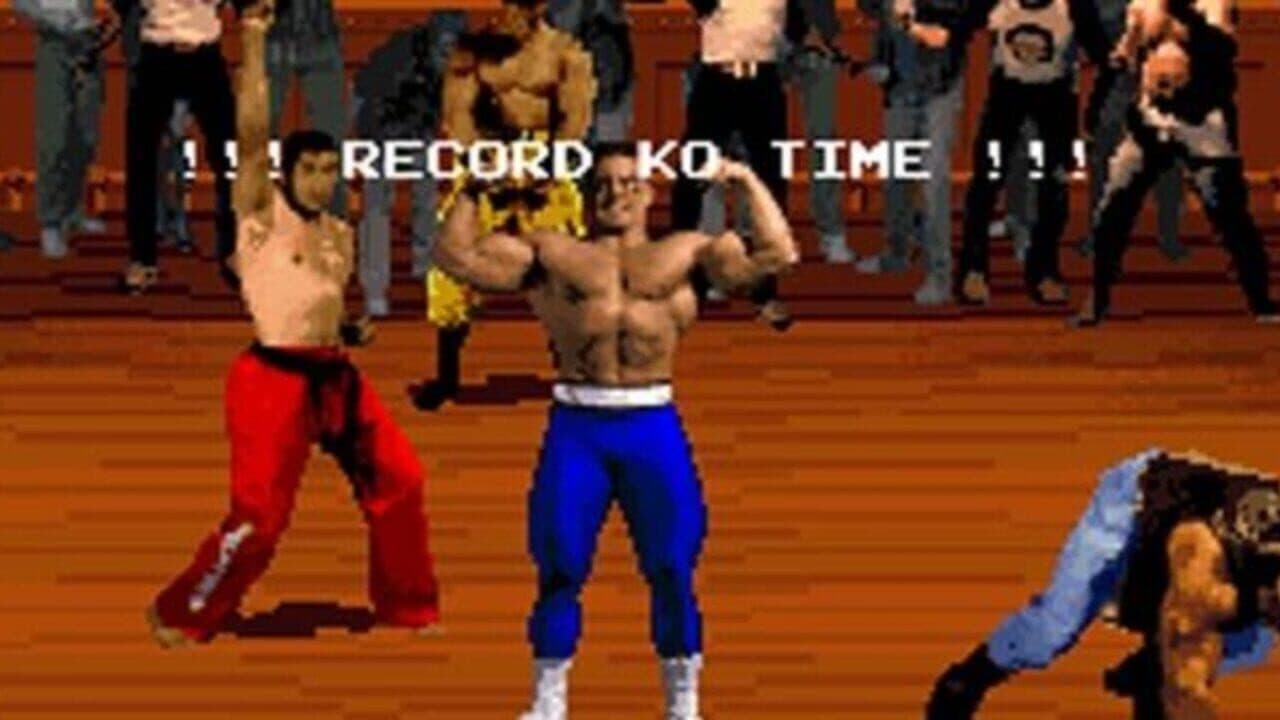 Pit-Fighter